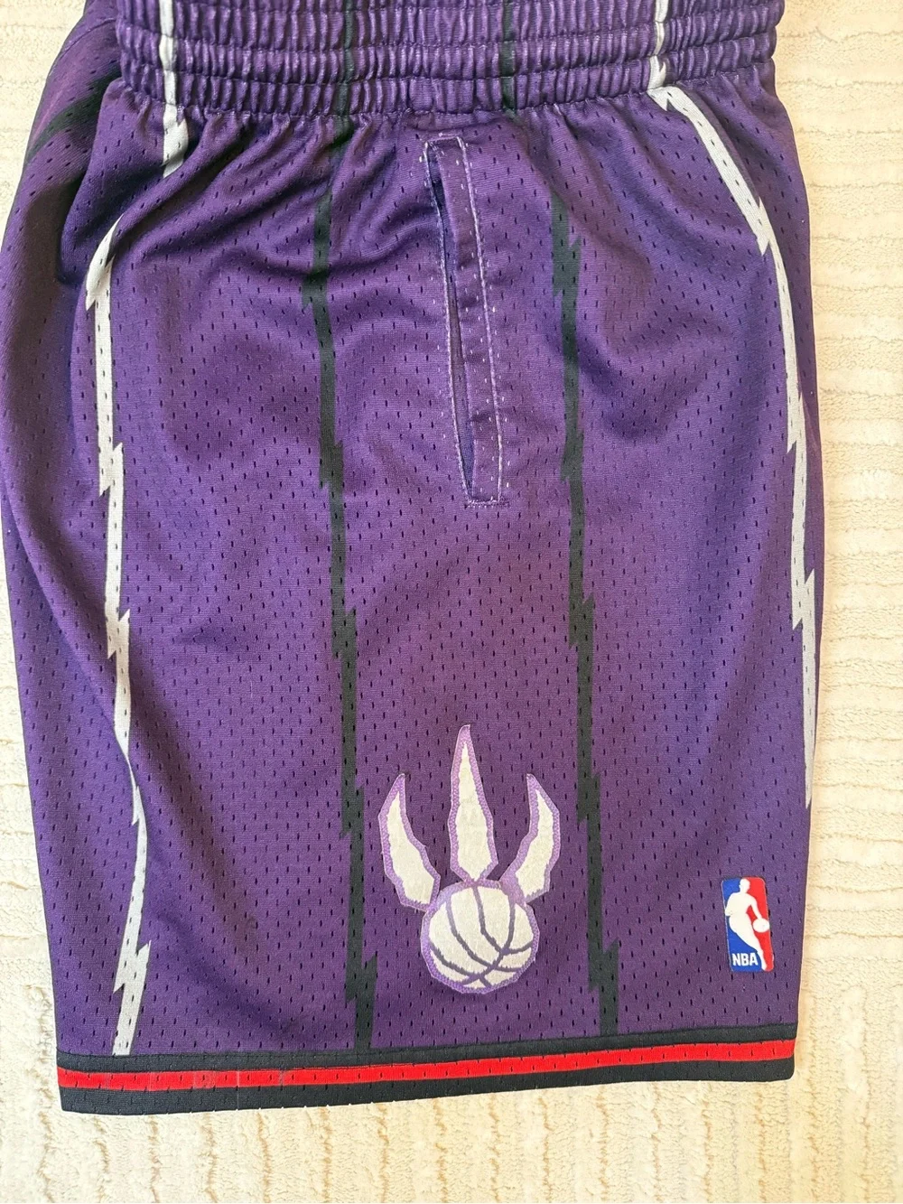 Mitchell & Ness Toronto Raptors 1998 Swingman Shorts Purple Size Large NBA HWC